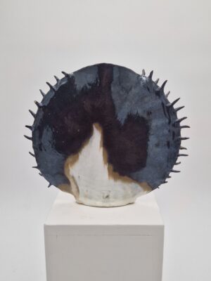 Asterina sur fond blanc, avec sa silhouette à pics.