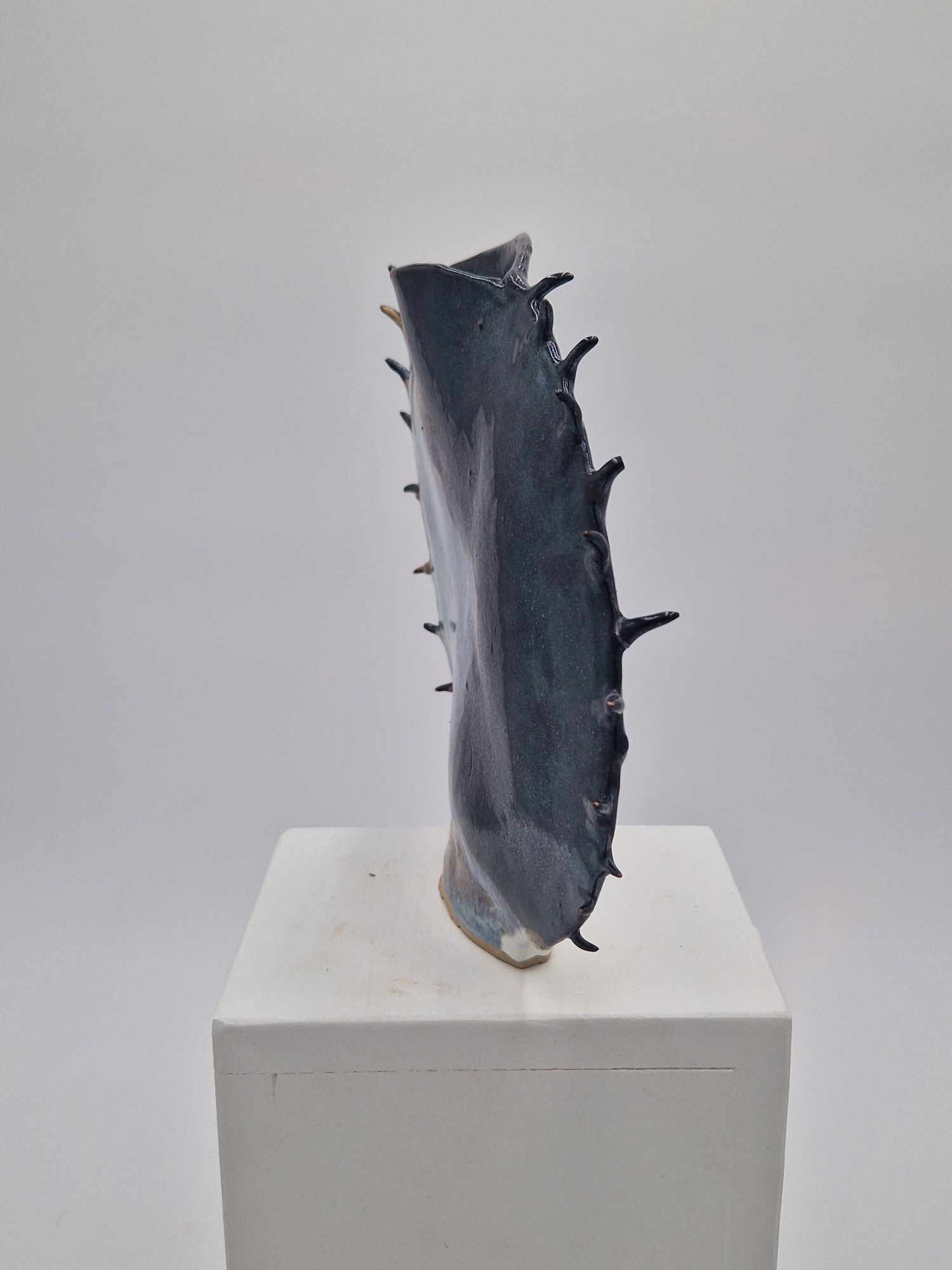 Le profil plat et expressif du vase biface Asterina. Le biface Asterina et ses pics vus de profil.